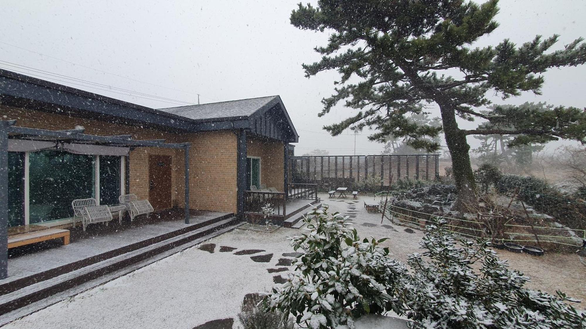 Wind Jeju Cafe & Pension Szogüpho Kültér fotó