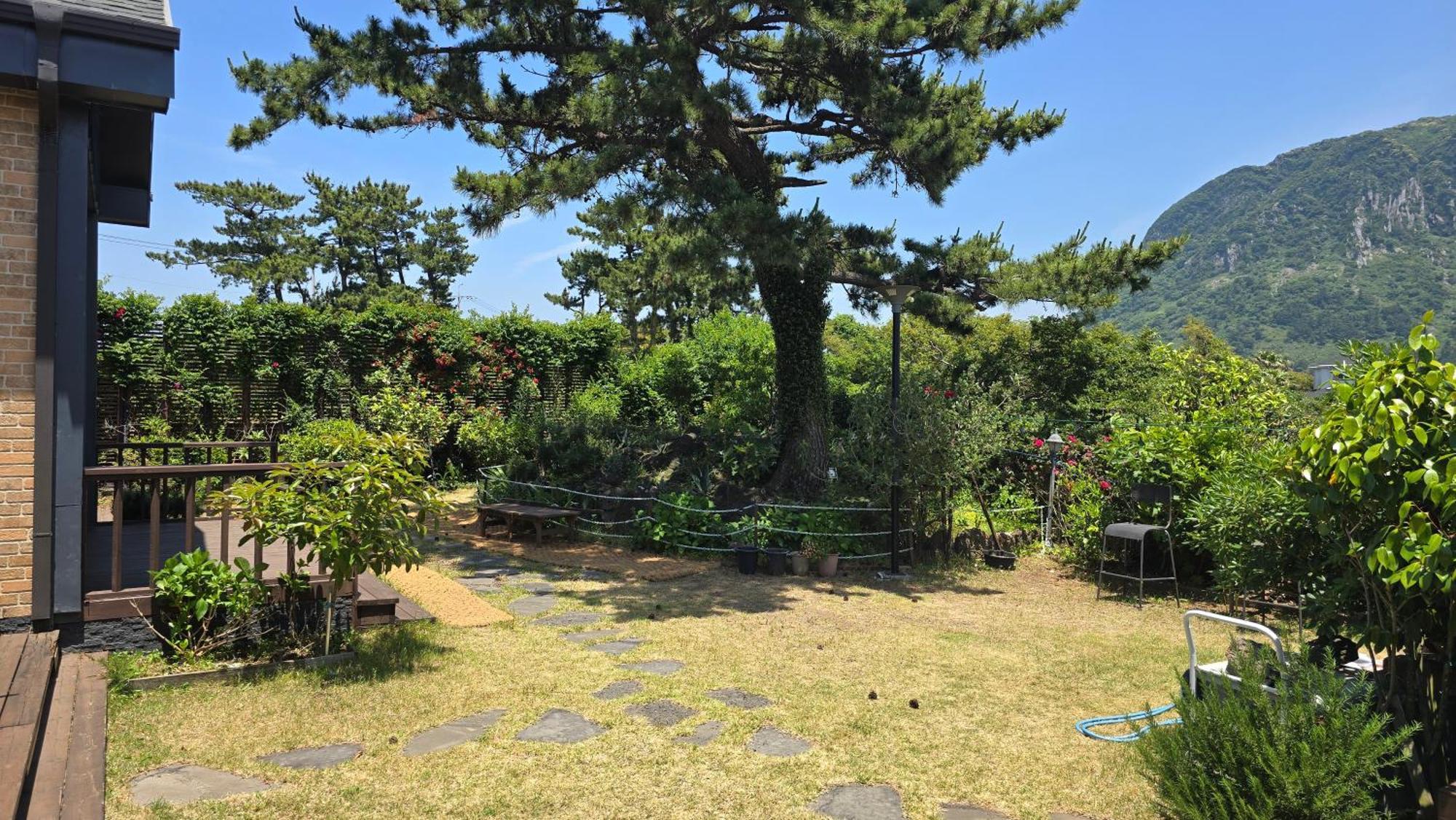 Wind Jeju Cafe & Pension Szogüpho Kültér fotó