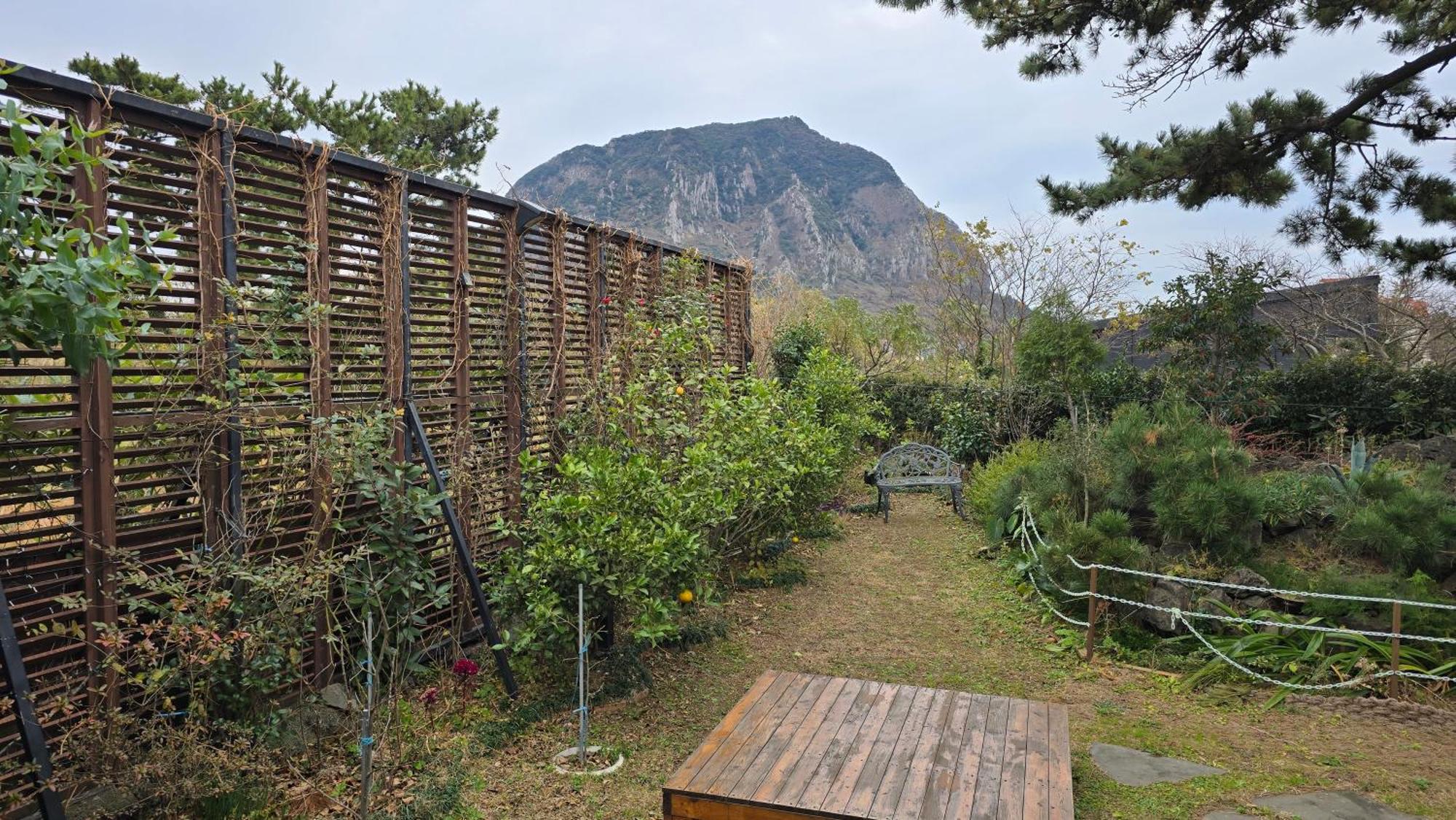 Wind Jeju Cafe & Pension Szogüpho Kültér fotó