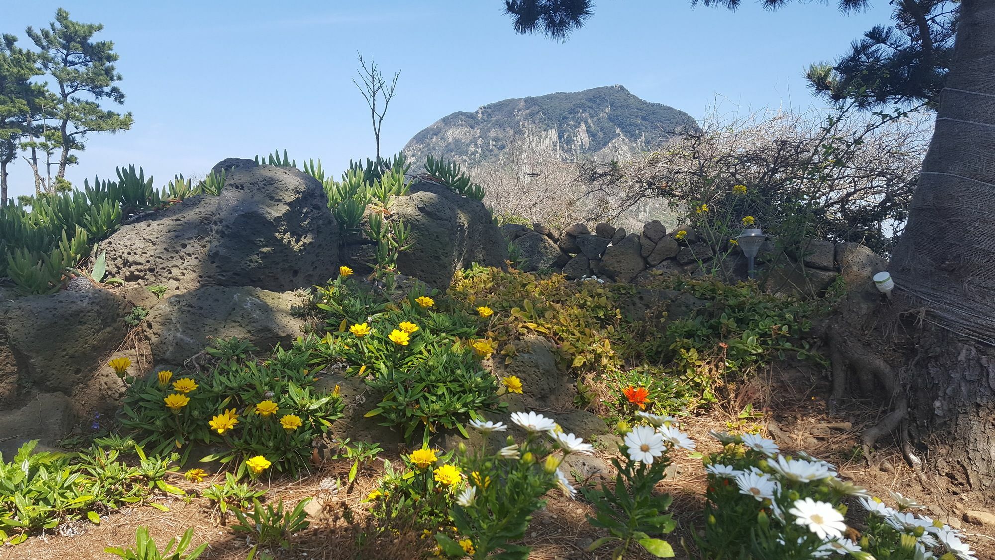 Wind Jeju Cafe & Pension Szogüpho Kültér fotó