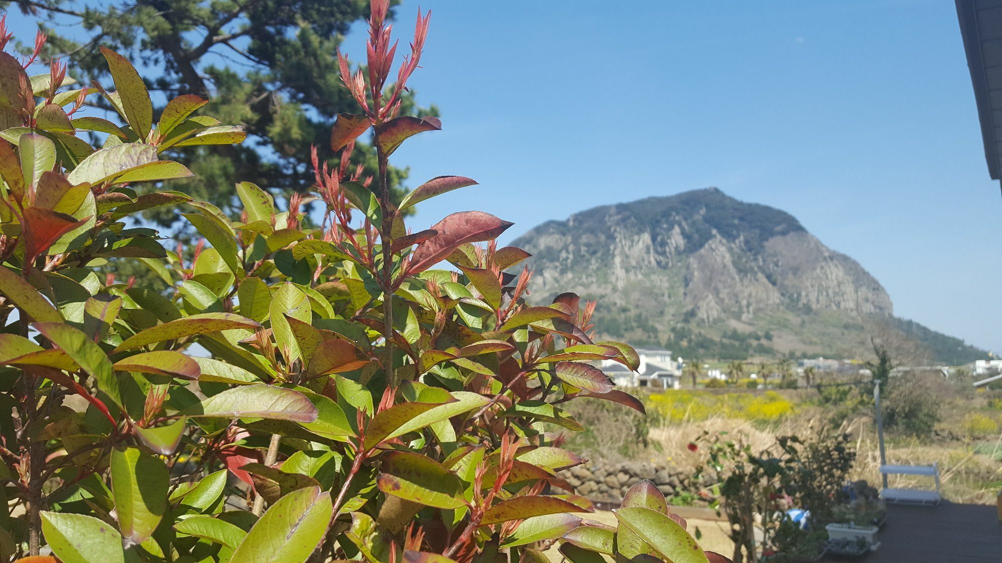 Wind Jeju Cafe & Pension Szogüpho Kültér fotó