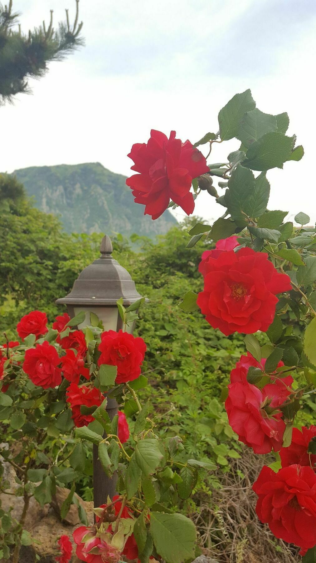 Wind Jeju Cafe & Pension Szogüpho Kültér fotó