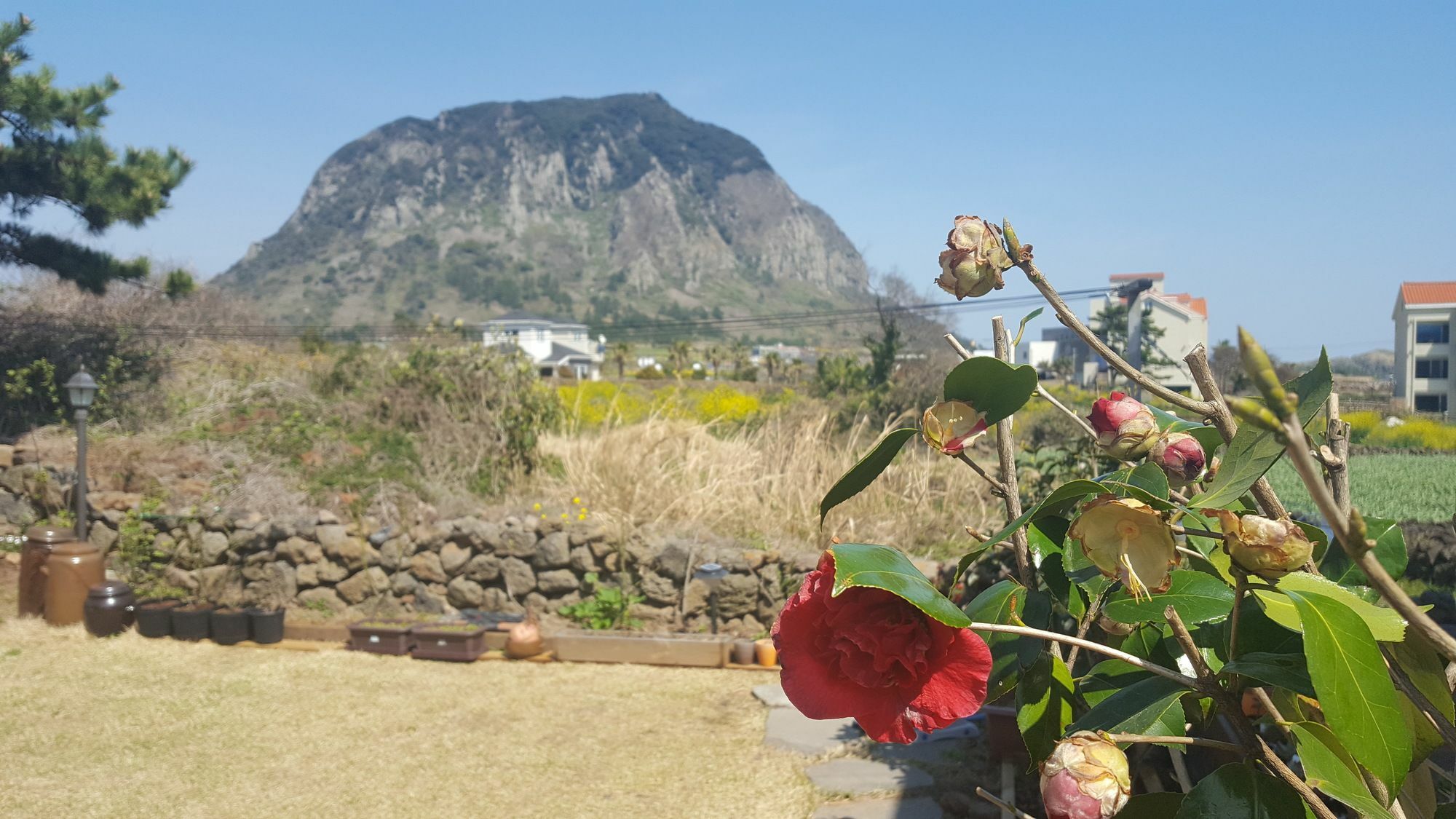 Wind Jeju Cafe & Pension Szogüpho Kültér fotó